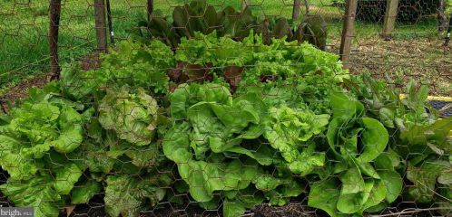 1139 Wilson Ave, Glen Mills PA  19342-9610 exterior