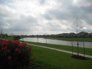 4535 Ferndale Meadows Dr, Katy TX  77494-5335 exterior