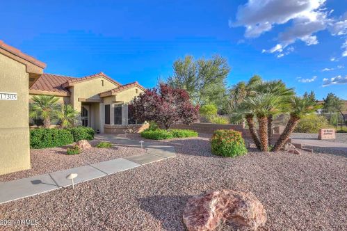 17305 Thoroughbred Dr, Sun City, AZ 85374-6382