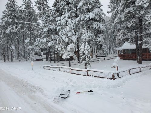 123 Sky Hi Dr, Pinetop AZ  85935-8802 exterior