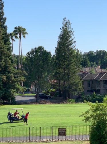 14996 Guadalupe Dr, Rancho Murieta CA  95683-9425 exterior