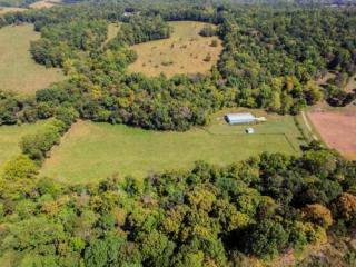 3345 Cooper Creek Rd, Woodlawn, TN 37191-9189