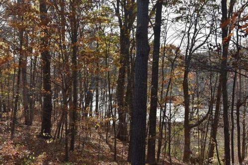 1579 Centre Rd, Rhinebeck, NY 12572-3221