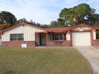 4035 Woodsville Dr, New Port Richey, FL 34652-5659