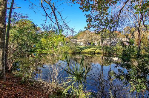 1713 Lauda Dr, Mount Pleasant SC  29464-9601 exterior