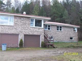 2383 Cemetery Hill Rd, Franklinville, NY 14737-9730