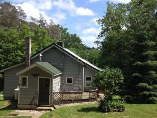 101 Rod And Gun Club Rd, Youngs, NY 13849-2165