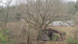 189 Main Hollow Rd, Philadelphia, TN 37846-3811