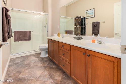 13227 Palo Verde Dr, Litchfield Park AZ  85340-7372 exterior