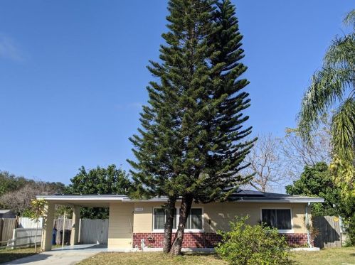 6549 34th Ave, Saint Petersburg, FL 33710-2444