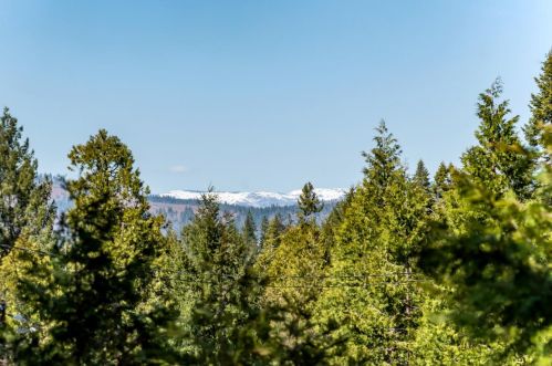 3814 Gold Ridge Trl, Pacific House, CA 95726-9740