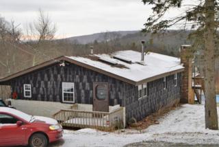 438 Red Hill Knolls Rd, Sundown, NY 12740-5917