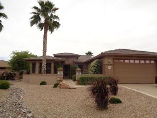 19165 Tamarisk Flower Way, Sun City, AZ 85387-7513