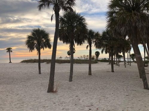 2631 Royal Liverpool Dr, Tarpon Springs FL 34688-6336 exterior