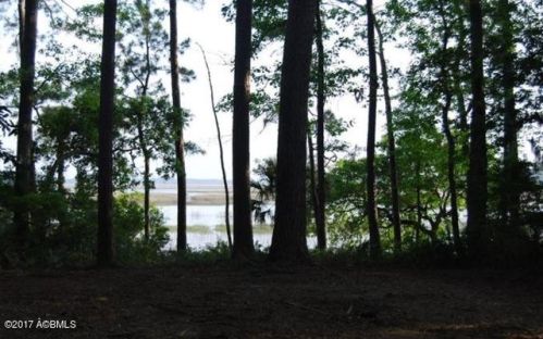 39 Spring Island Dr, Bluffton SC  29909-4005 exterior