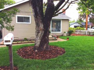 3399 Euclid Ave, Concord, CA 94519-2361