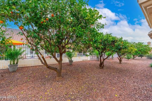 22033 Golf Club Dr, Sun City AZ 85375-2078 exterior