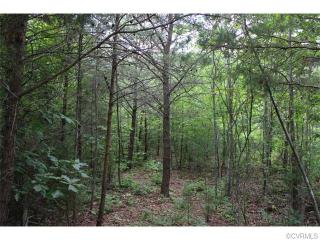 4621 Three Square Rd, Goochland VA  23063-3522 exterior