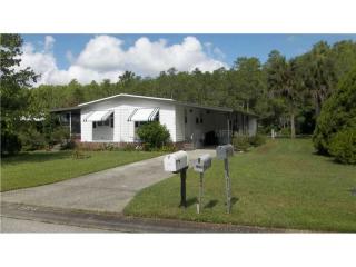 2724 Downing Dr, Kissimmee, FL 34758-2110