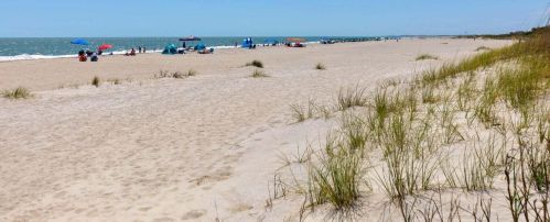 5 Beachwood, Isle Of Palms SC  29451-2815 exterior