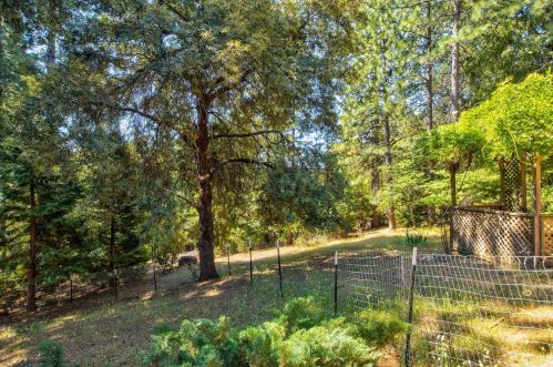 23720 Bonanza Rd, Pioneer CA  95666-9323 exterior