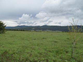 10184 Packsaddle Rd, Warm Lake, ID 83611-5405