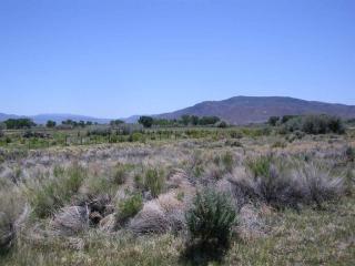 151 Mount Grant, Smith, NV 89430-9419