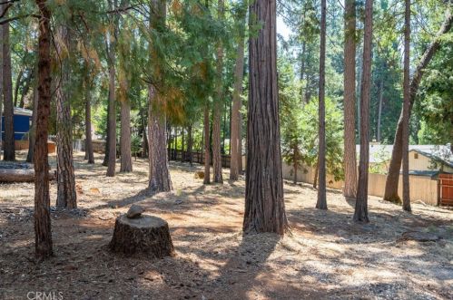 6198 Leicester Dr, Nimshew CA  95954-9634 exterior