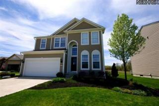 5348 Royal Brook Dr, Medina, OH 44256-6210