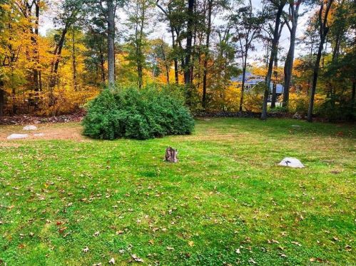 90 Pineridge Dr, Waterbury CT  06716-3134 exterior