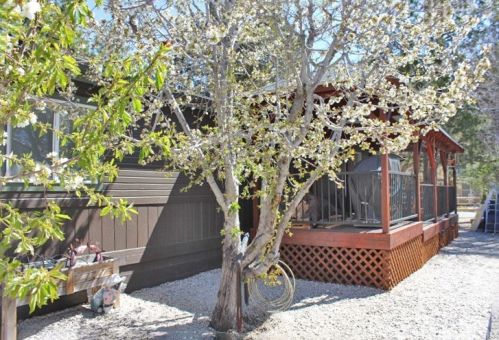 1045 Wendy Ave, Big Bear City CA  92314-9612 exterior