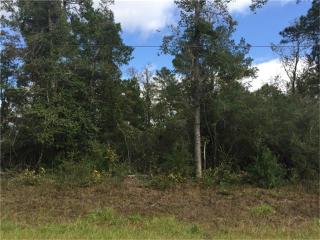 19318 Desna Dr, Porter, TX 77365-3696