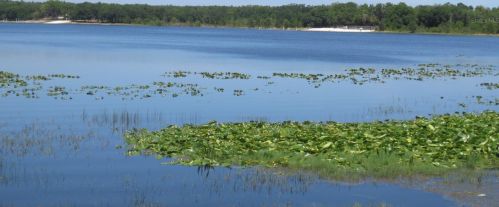 749 130th Terrace Rd, Silver Springs FL  34488-3528 exterior