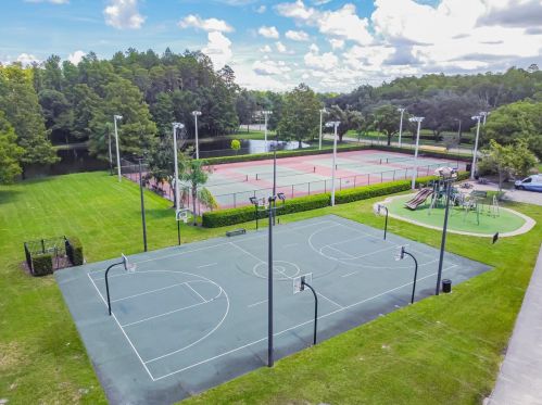 3664 Darston St, Palm Harbor FL  34685-1182 exterior