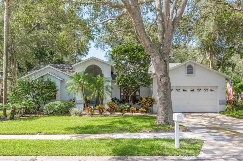 1429 Wetherington Way, Palm Harbor, FL 34683-6447