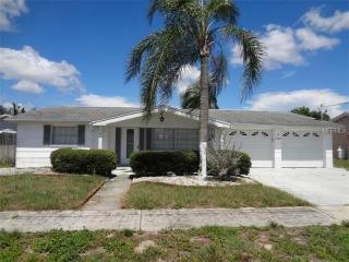 1332 Linstock Dr, Tarpon Springs, FL 34690-6634