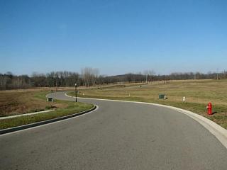 403 Buena Vista Dr, Johnstown, OH 43031-1095