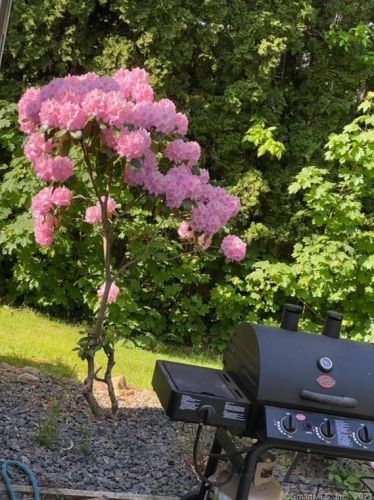 74 Vergason Ave, Norwich CT  06360-2108 exterior