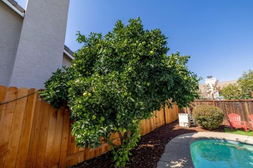 8686 White Peacock Way, Elk Grove CA  95624-3701 exterior