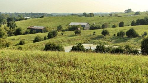 12003 Springfield Rd, Perryville, KY 40468-8922