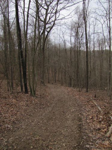 24480 Bushby Rd, Laurelville OH  43152-9712 exterior