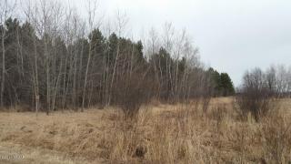 32656 310th St, Browerville, MN 56438-4935