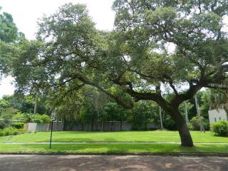 739 Clifford Dr, Orlando, FL 32804-7113