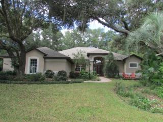 19654 88th Loop, Dunnellon, FL 34432-2663