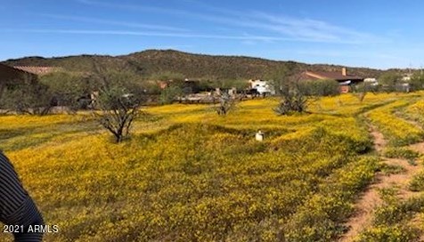 43201 14th St, Phoenix AZ 85087-7979 exterior