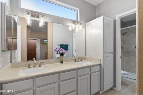 22209 Las Brizas Ln, Sun City AZ 85375-2858 exterior