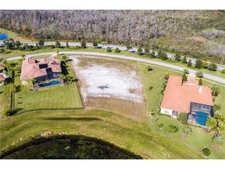 10736 Lago Bella Dr, Orlando, FL 32832-6037