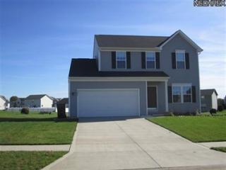 8098 Diamond Park Ave, Canton, OH 44721-7504