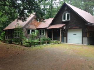 66 Agard Rd, Pottersville, NY 12860-1804
