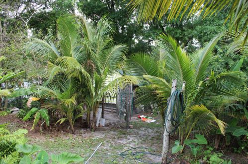 18852 50 St, Town Of Loxahatchee Groves FL  33470-2346 exterior